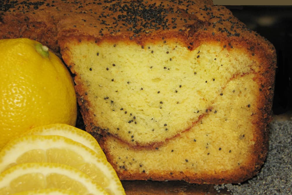 Lemon Poppy Coffee Cake