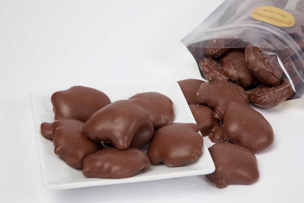 Milk Chocolate Cashew Caramel Patties