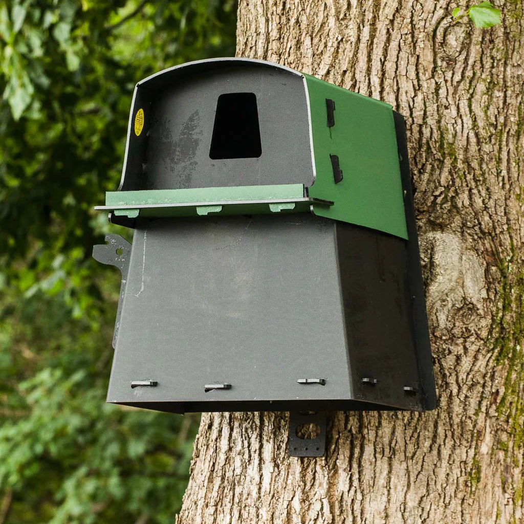 Biodiversity initiatives like owl boxes at California Pistachio Orchard